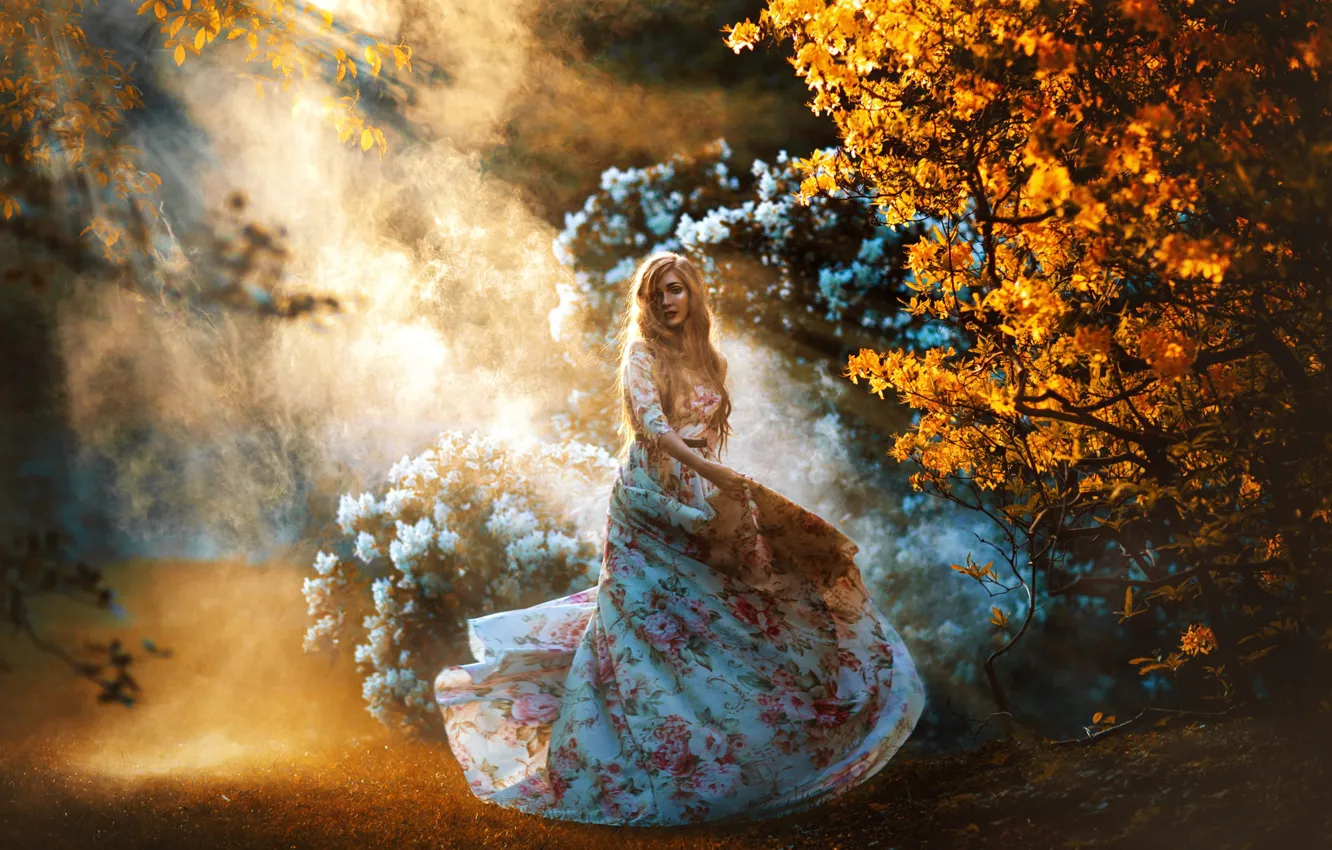 Фото обои осень, девушка, природа, поза, сад, платье, дымка, красивая