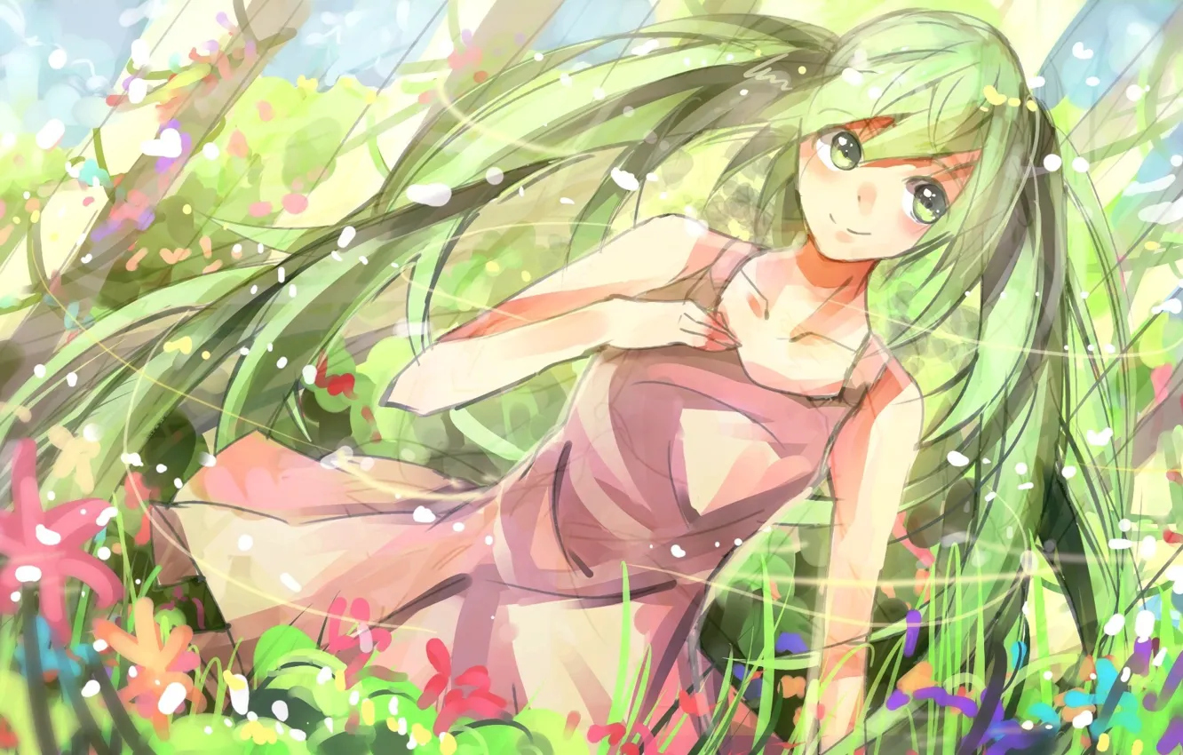 Фото обои лето, цветы, улыбка, луг, Hatsune Miku, Vocaloid, длинные волосы, сарафан