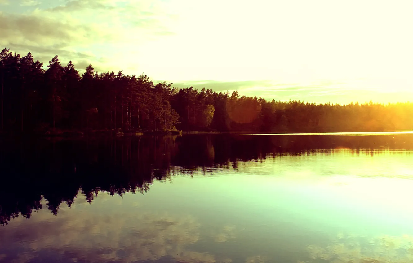 Фото обои лес, закат, озеро, отражение, солнца, Безупречный