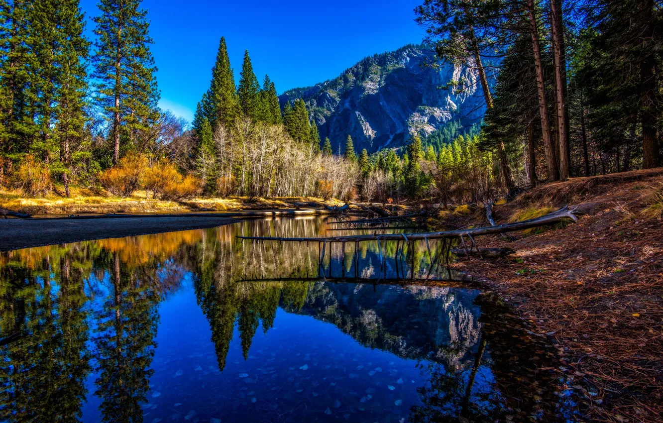 Фото обои деревья, горы, река, берег, вершины, США, Yosemite national park, Йосе́митский национальный парк