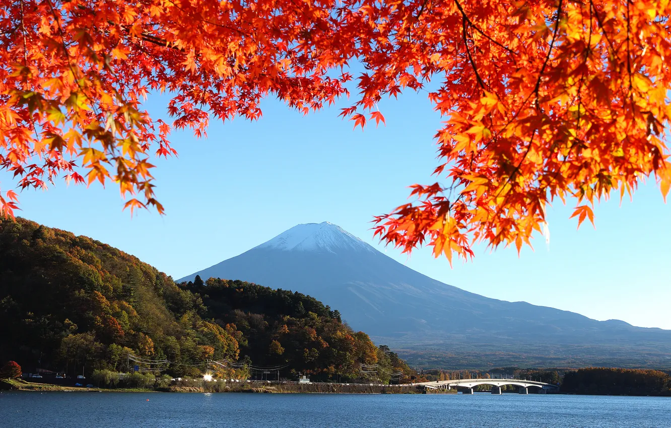 Фото обои осень, небо, листья, деревья, мост, озеро, Япония, гора Фудзияма