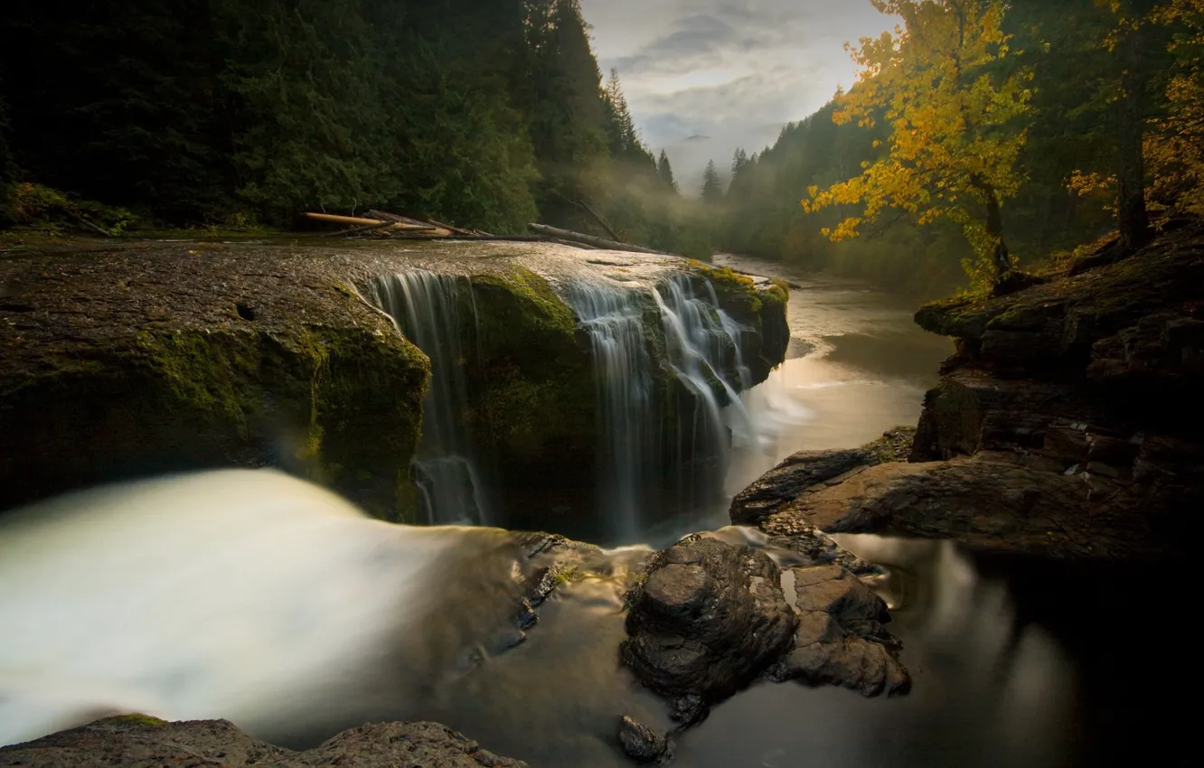 Фото обои деревья, пейзаж, река, камни, поток воды