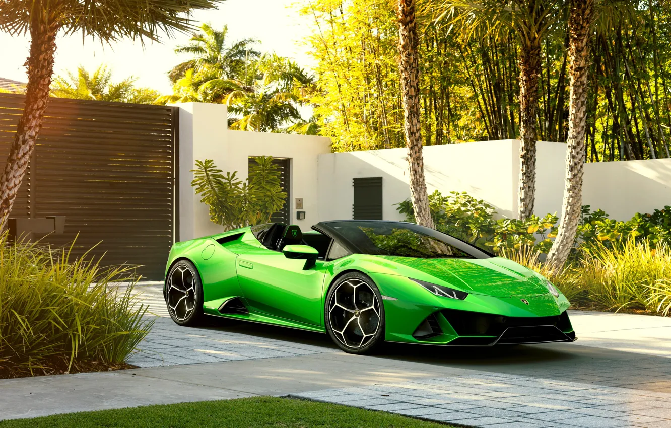 Фото обои машина, пальмы, Lamborghini, спорткар, Spyder, Evo, Huracan