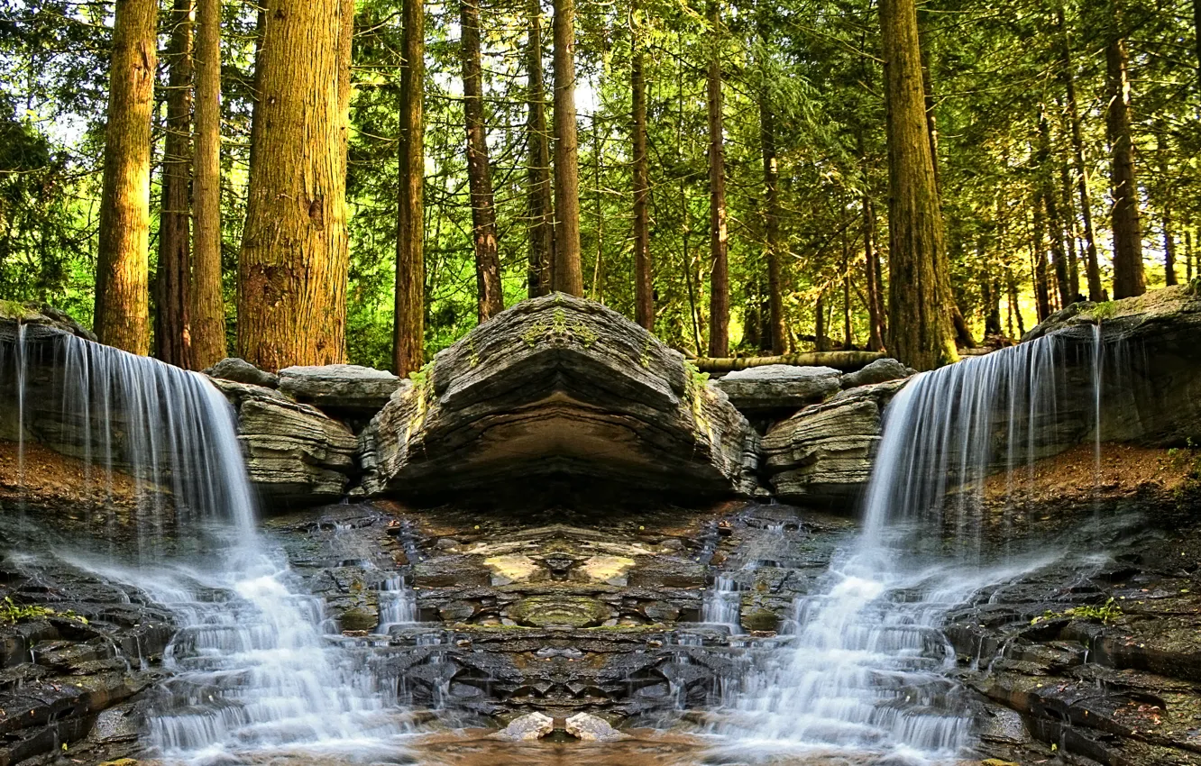 Фото обои лес, деревья, ручей, камни, водопад, «черепаха»