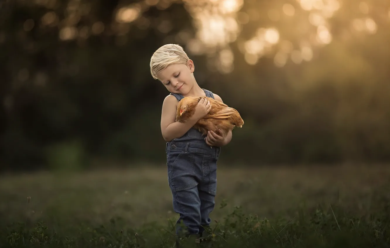 Фото обои природа, курица, мальчик
