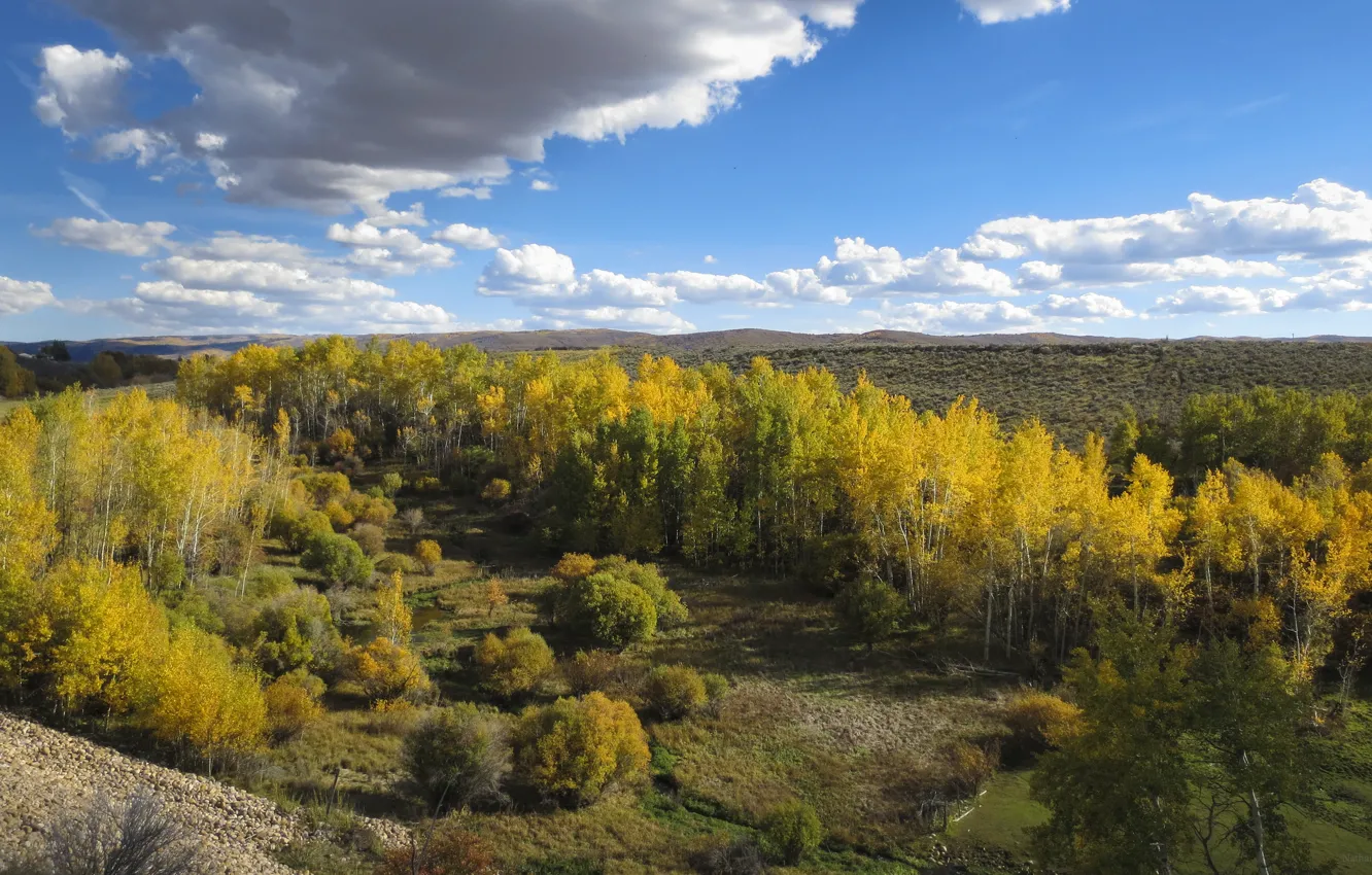 Фото обои Осень, Панорама, Юта, USA, США, Fall, Autumn, Utah