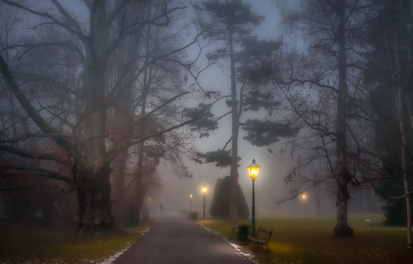 Фото обои туман, фонари, Парк, аллея
