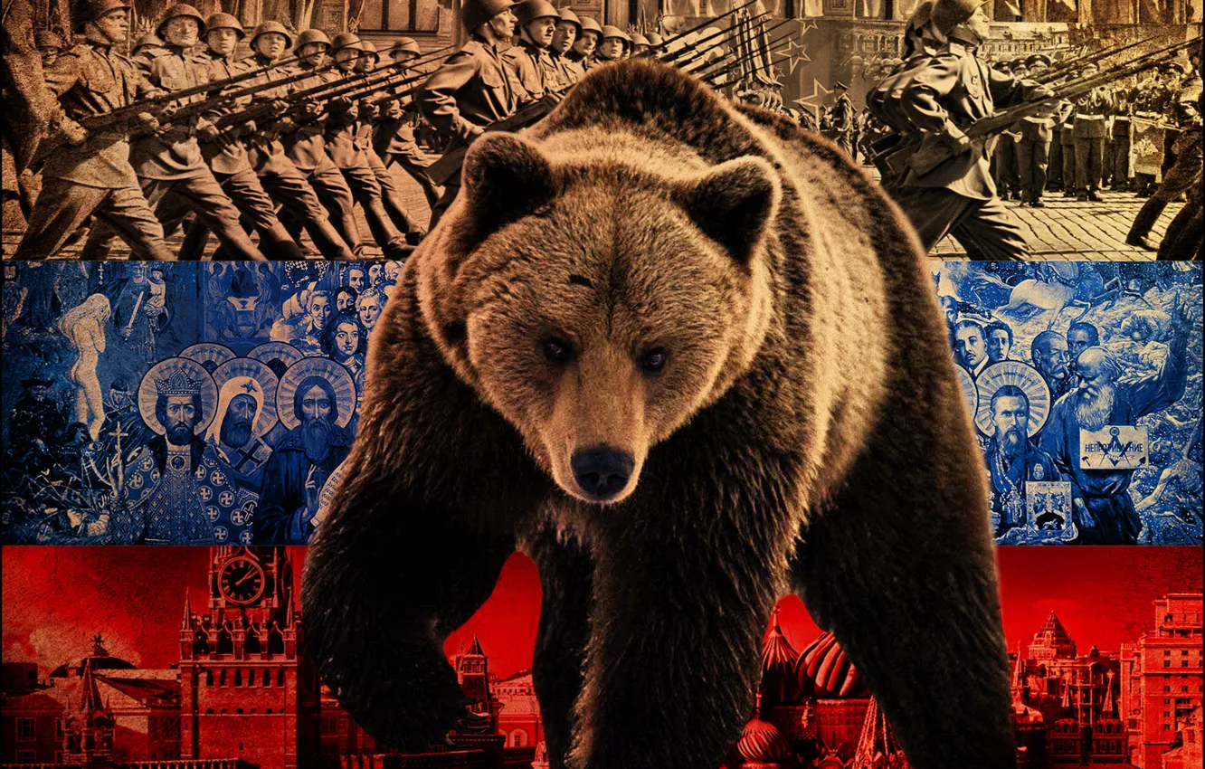 Фото обои флаг, медведь, политика, Россия