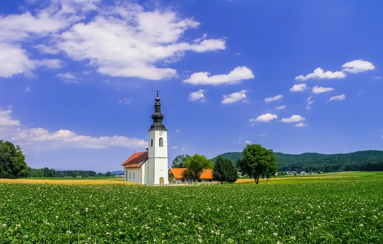 Фото обои поле, небо, облака, деревья, церковь, Словения, Slovenia, Церковь Св. Якова
