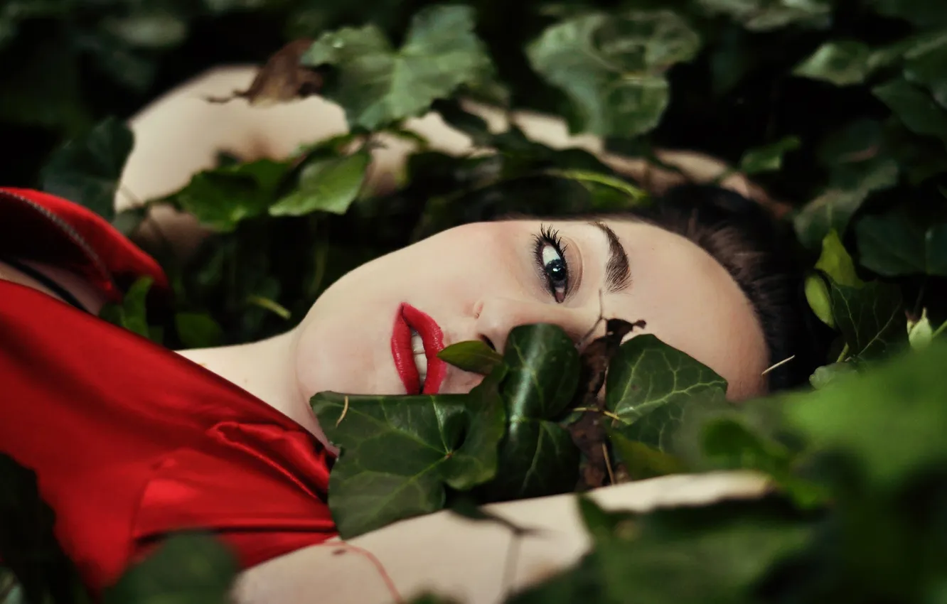 Фото обои взгляд, листья, девушка, лицо, волосы, макияж, лежит, красные губы