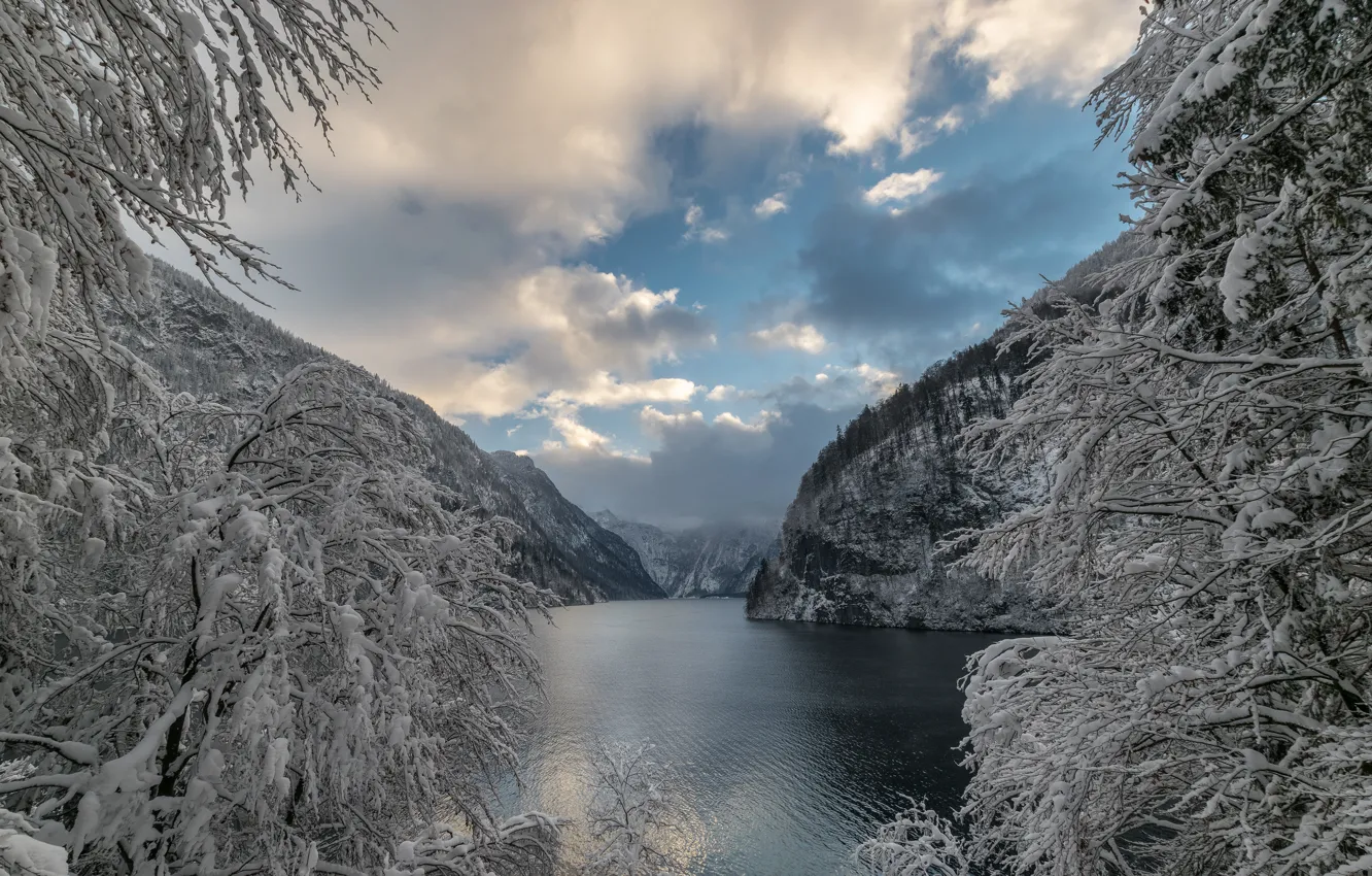 Фото обои зима, снег, деревья, горы, ветки, озеро, Германия, Бавария