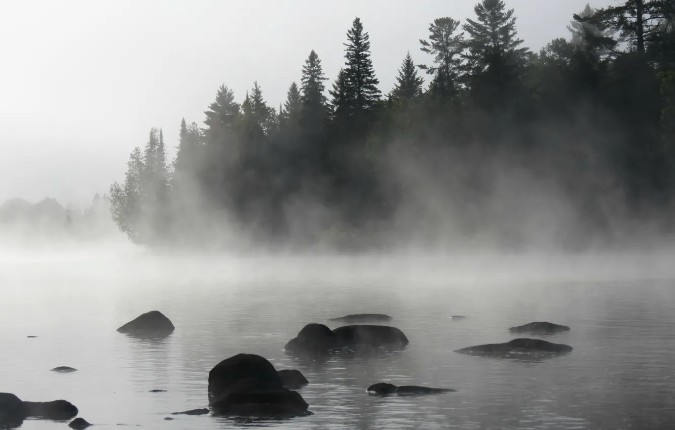 Фото обои Туман, Озеро, Лес, Утро, Nature, Landscape, Morning, Fog