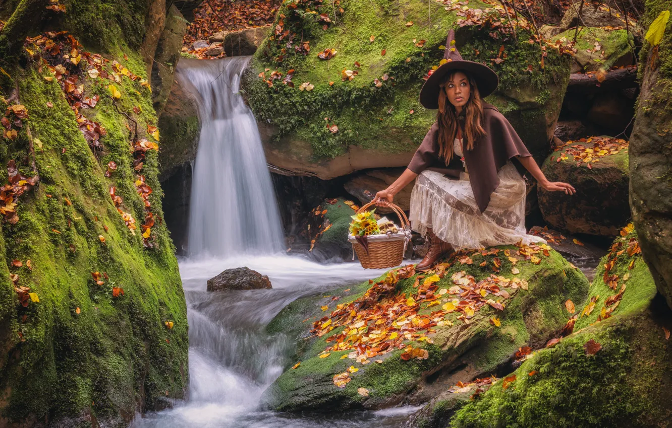 Фото обои осень, листья, девушка, природа, камни, корзина, водопад, мох