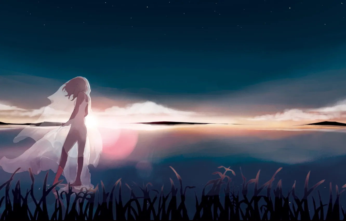 Фото обои небо, девушка, звезды, закат, природа, озеро, арт, vocaloid