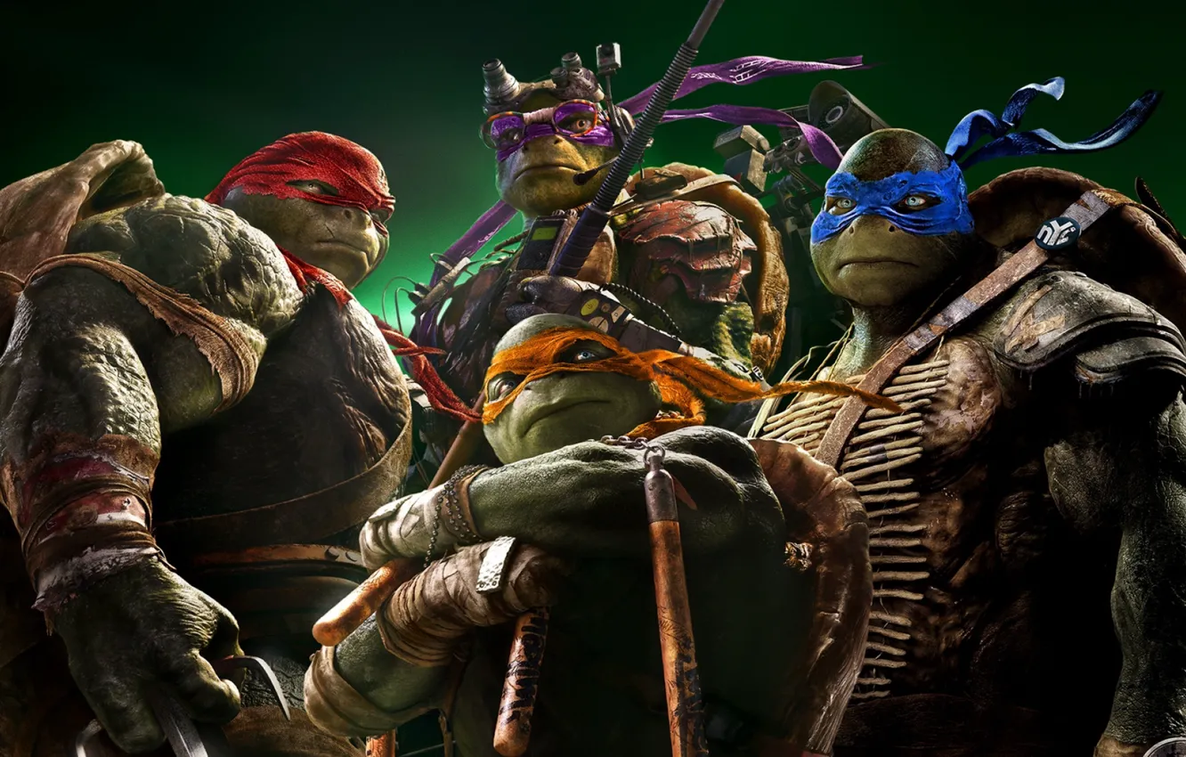 Фото обои leo, micky, donnie, raph