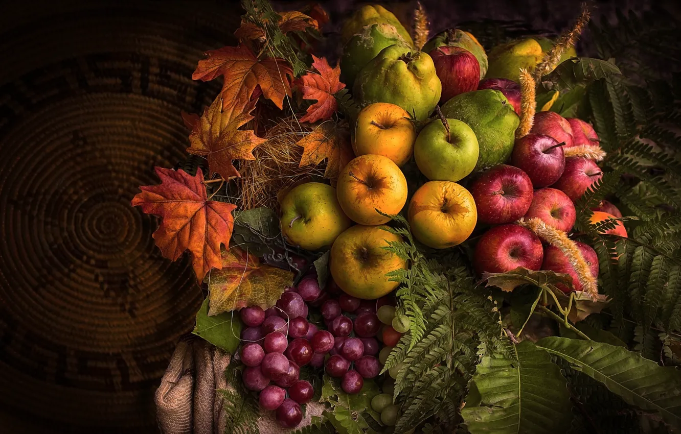 Фото обои осень, листья, темный фон, яблоки, желтые, урожай, виноград, красные