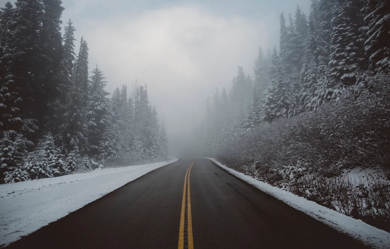 Фото обои зима, дорога, лес, снег, природа, туман, дымка