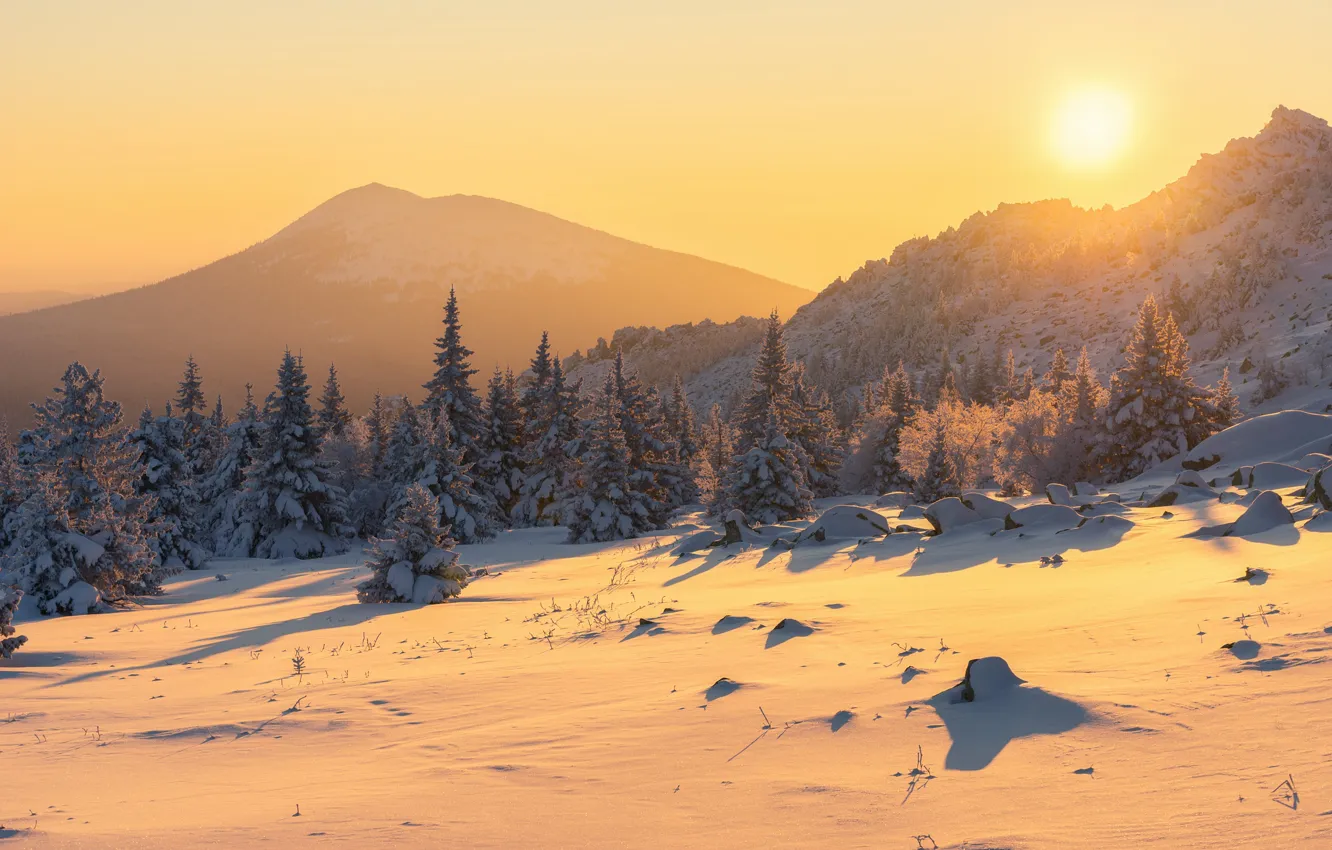 Фото обои зима, солнце, снег, горы, ели, Россия, Михаил Туркеев