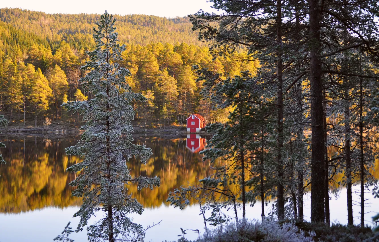 Фото обои осень, лес, деревья, отражение, река, берег, Норвегия, домик