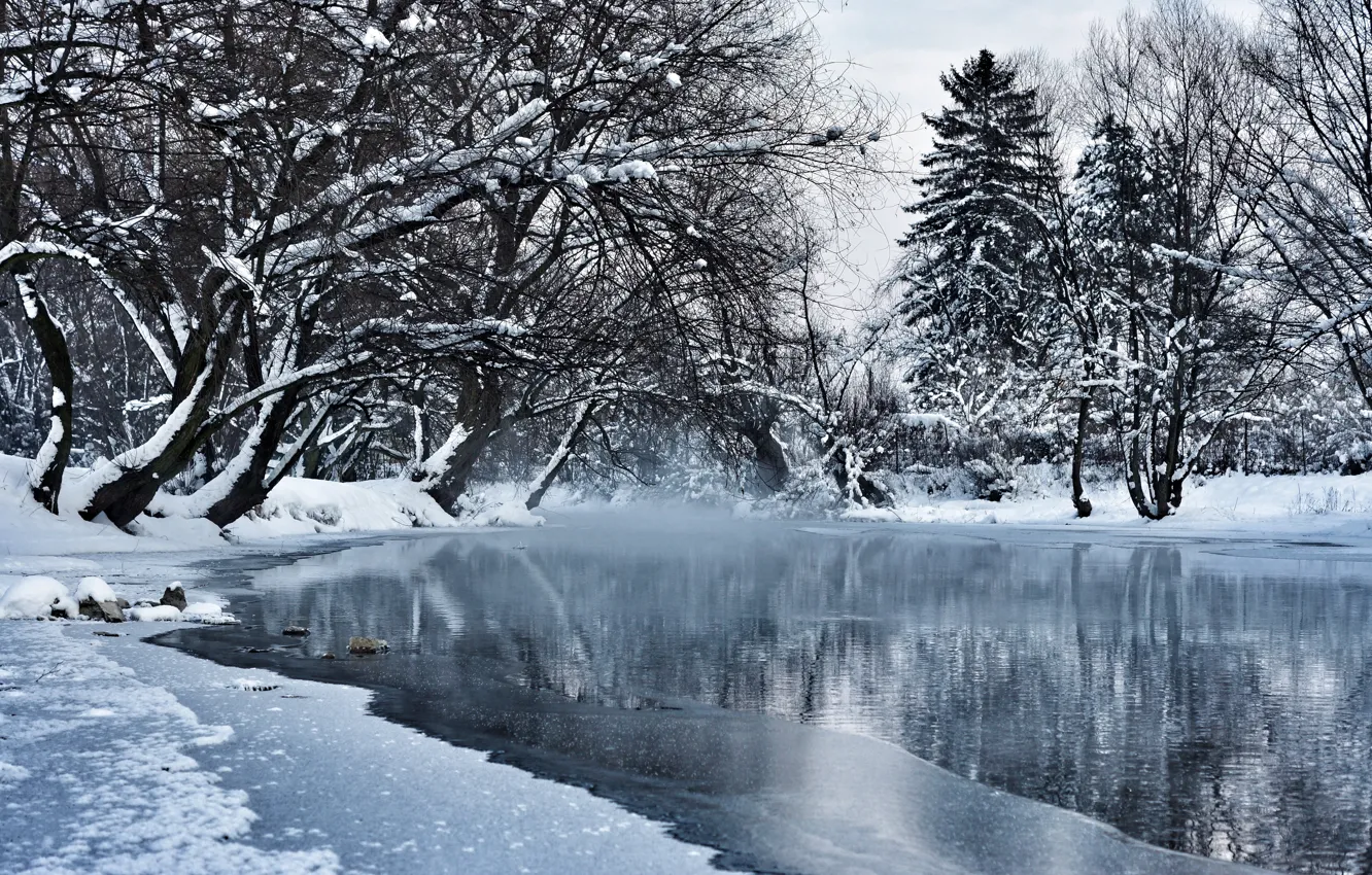 Фото обои зима, вода, снег, деревья, пруд, парк, Босния и Герцеговина, Sarajevo