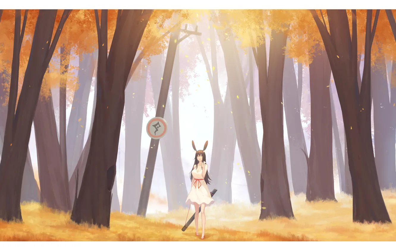 Фото обои осень, лес, девушка, ушки