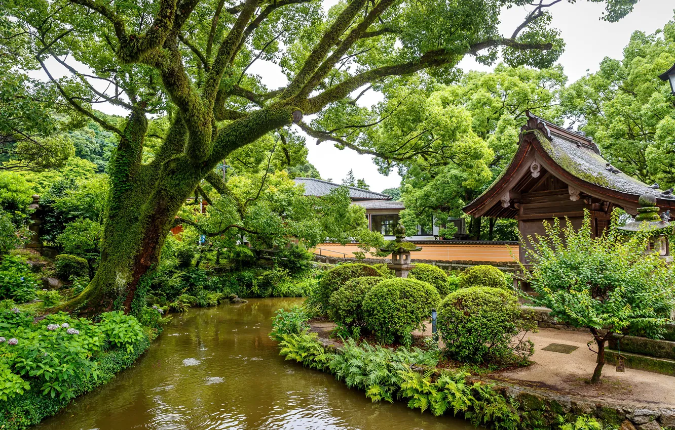 Фото обои зелень, деревья, дизайн, пруд, парк, Сингапур, кусты