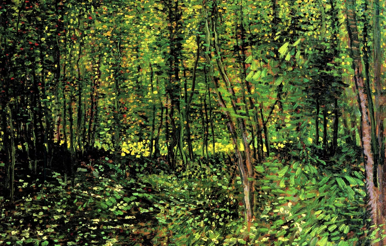 Фото обои лесок, Винсент ван Гог, молодые деревья, Trees and Undergrowth 2