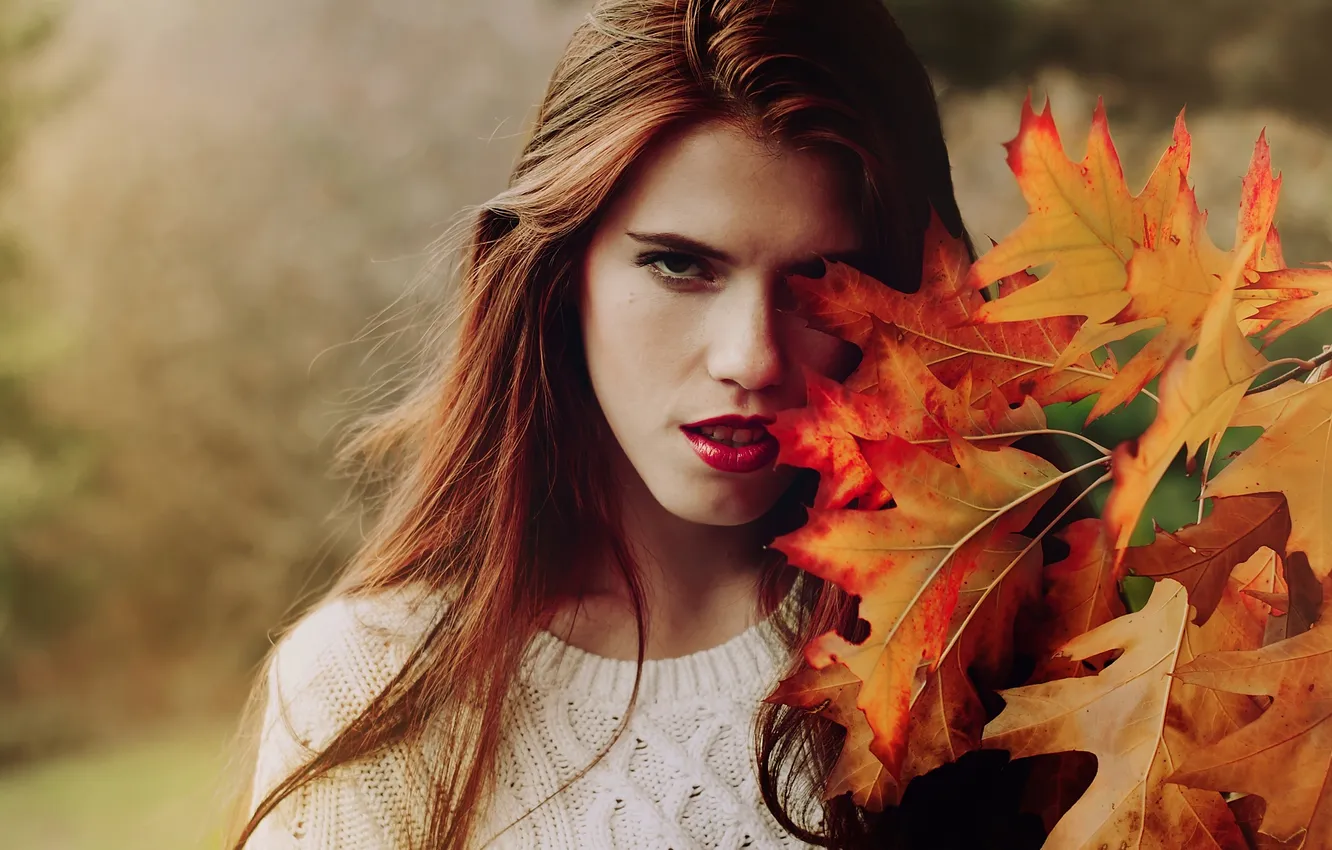 Фото обои nature, Anaïs Popy, Leaves of fall
