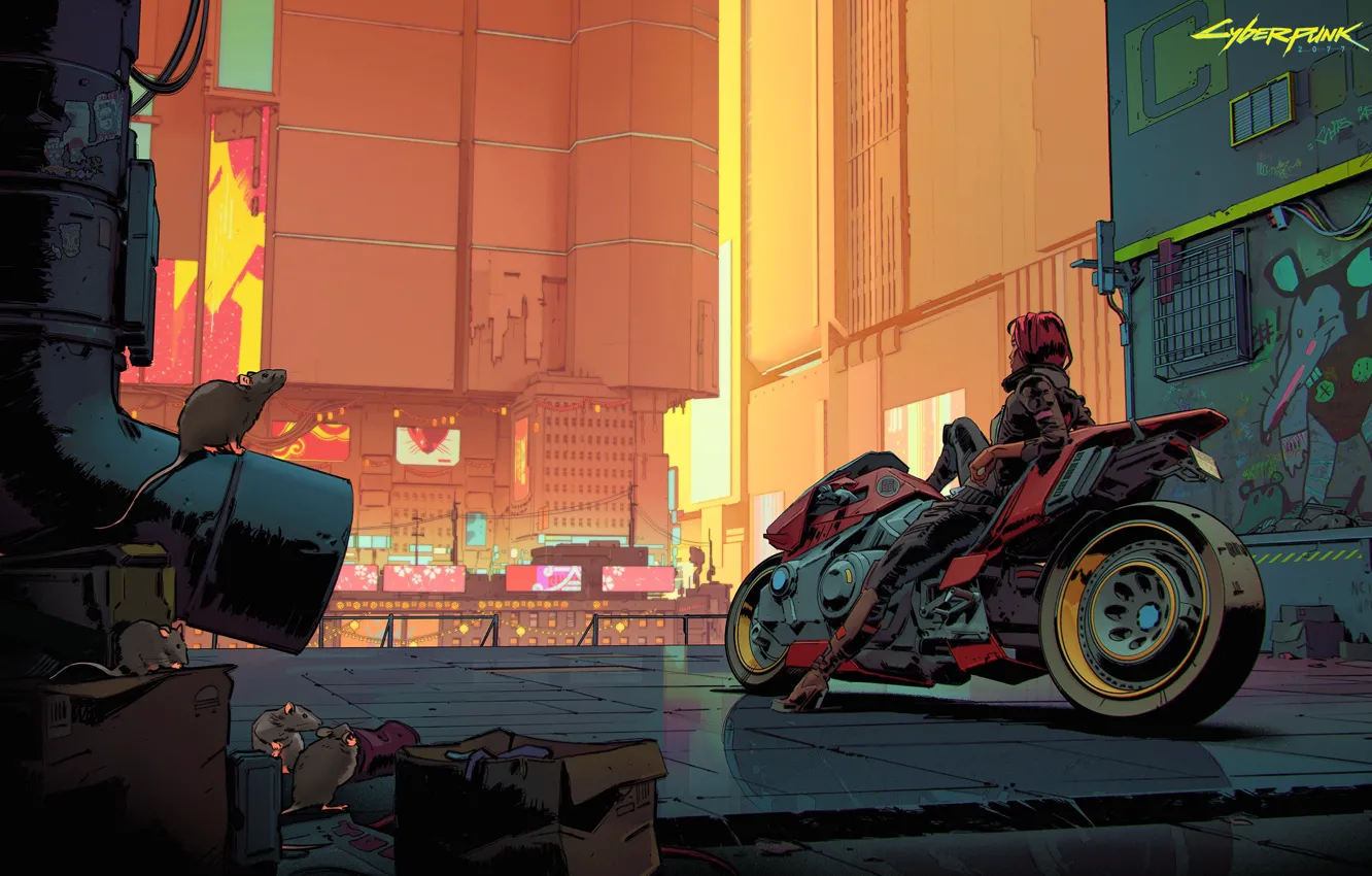 Фото обои девушка, город, улица, мотоцикл, Cyberpunk 2077