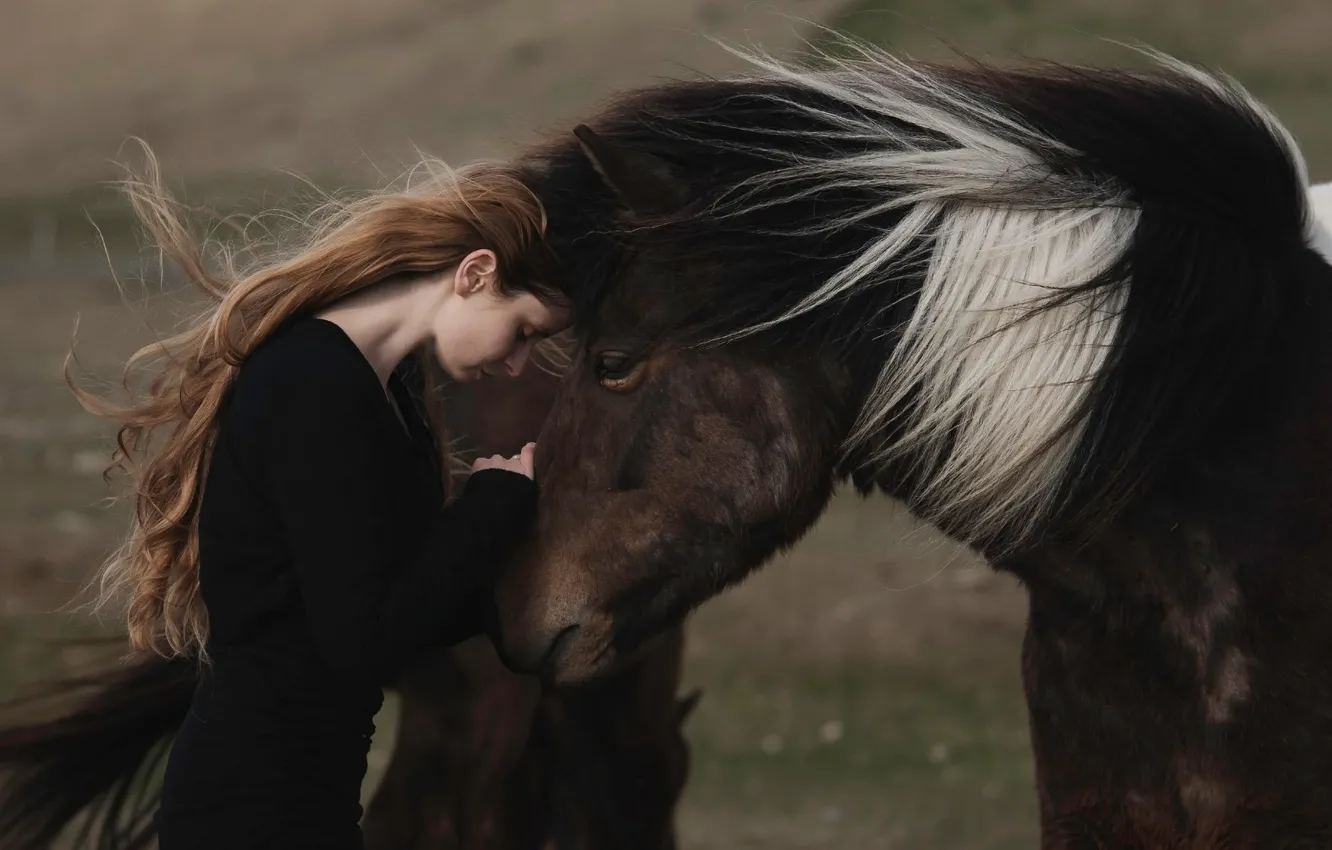 Фото обои девушка, лошадь, Alessandra Barilla
