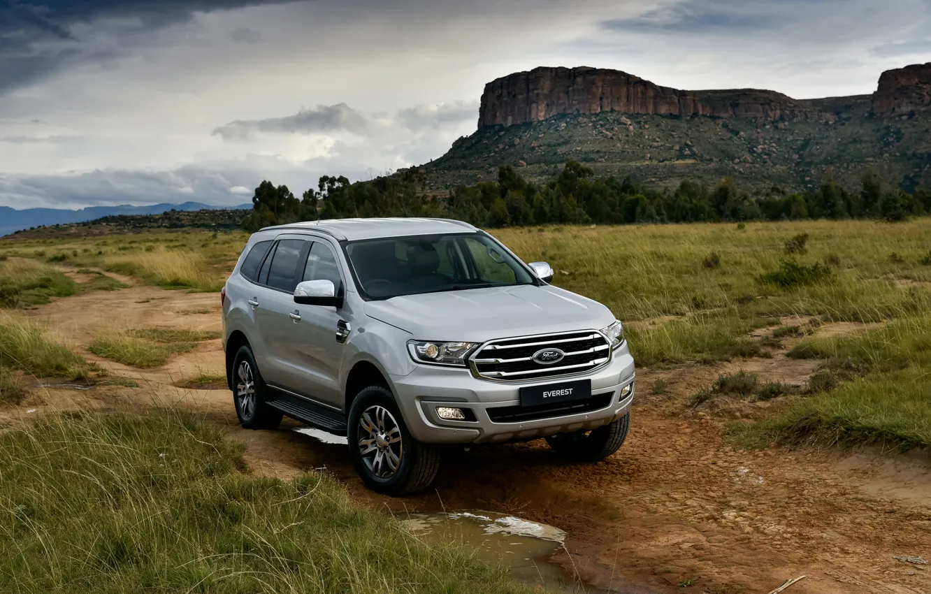 Фото обои трава, Ford, Everest, 4WD, среднеразмерный, XLT, 2019