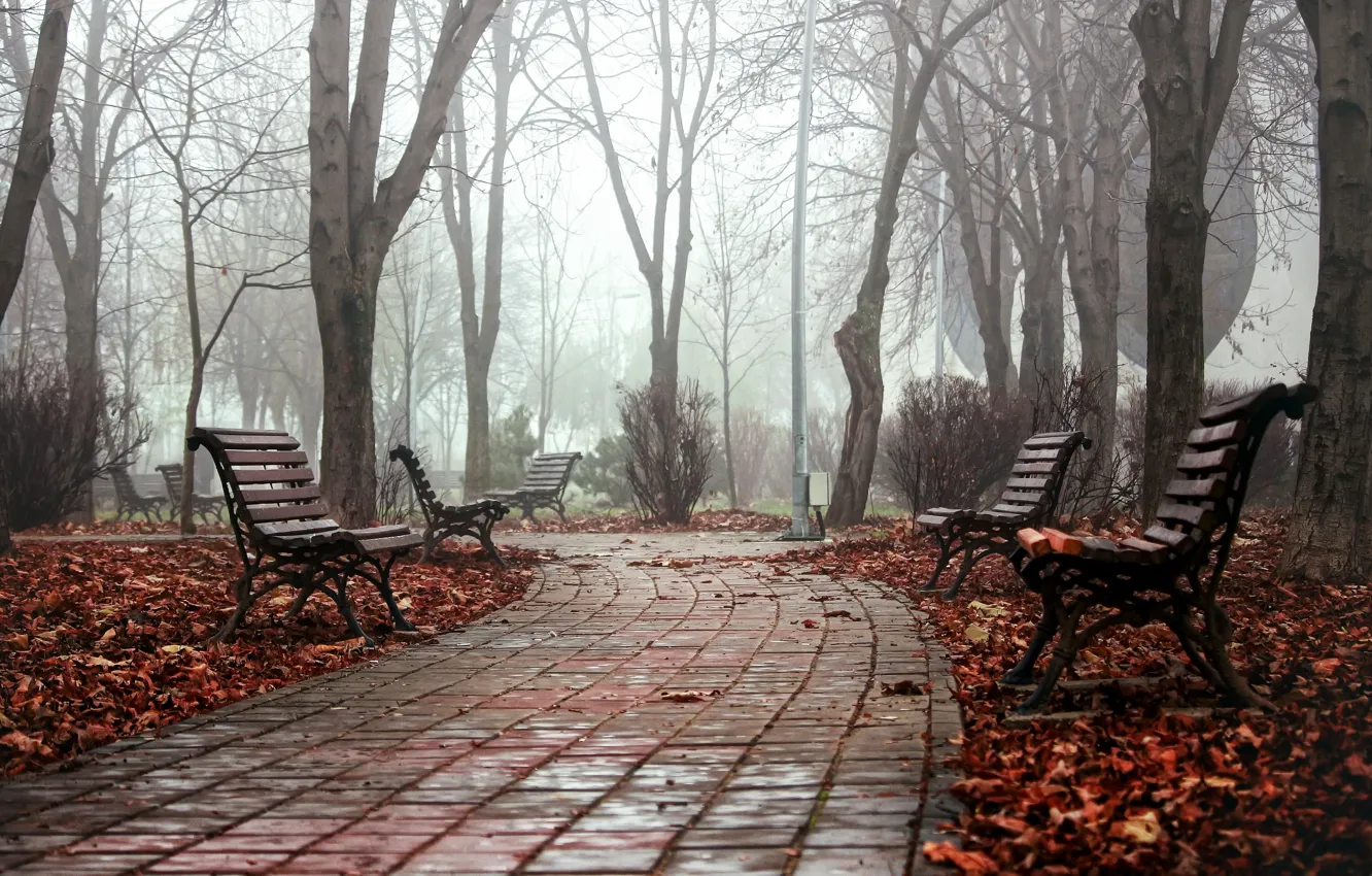 Фото обои осень, город, туман, парк, скамья