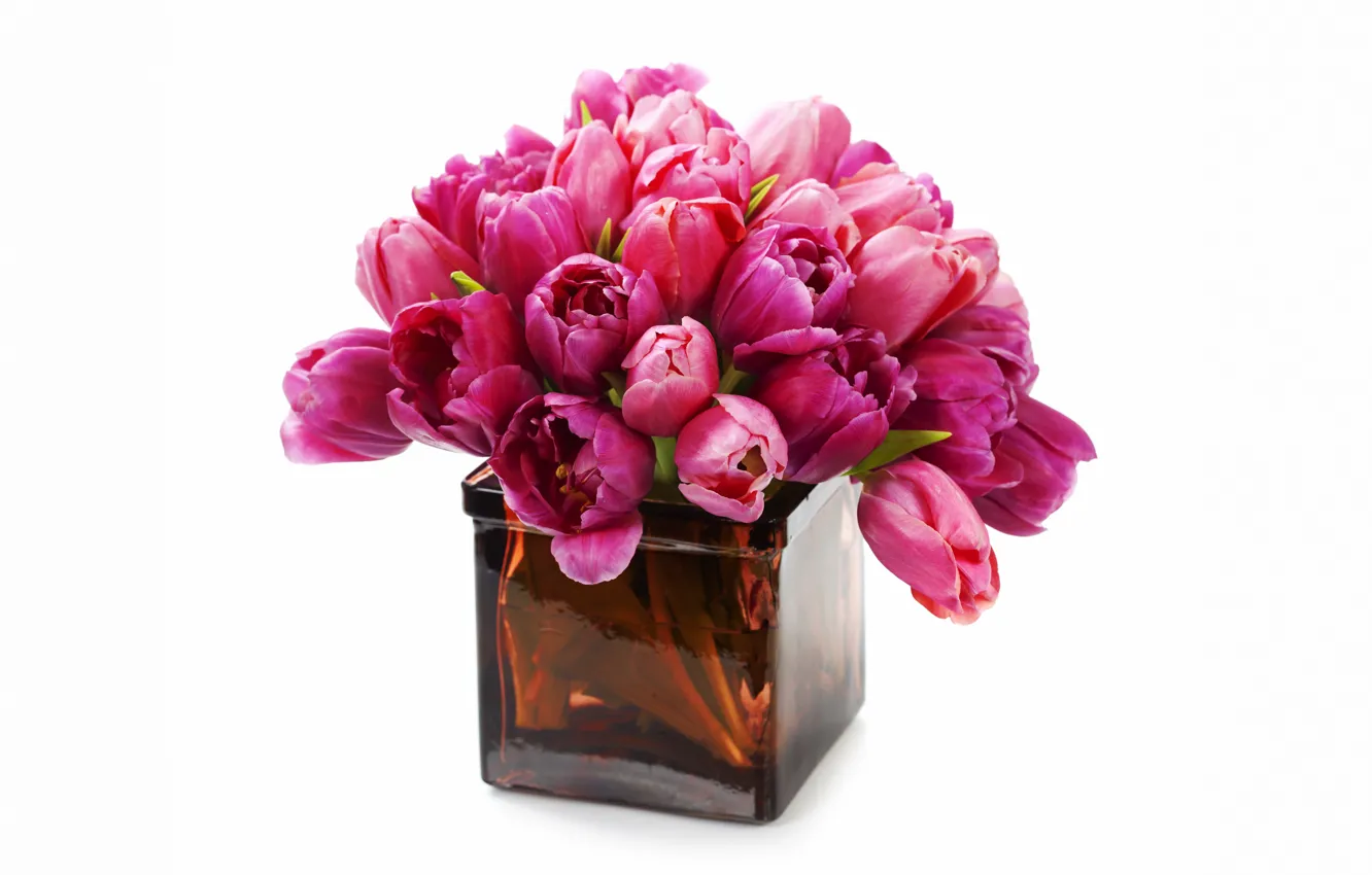 Фото обои цветы, букет, тюльпаны, ваза, fresh, flowers, tulips, purple