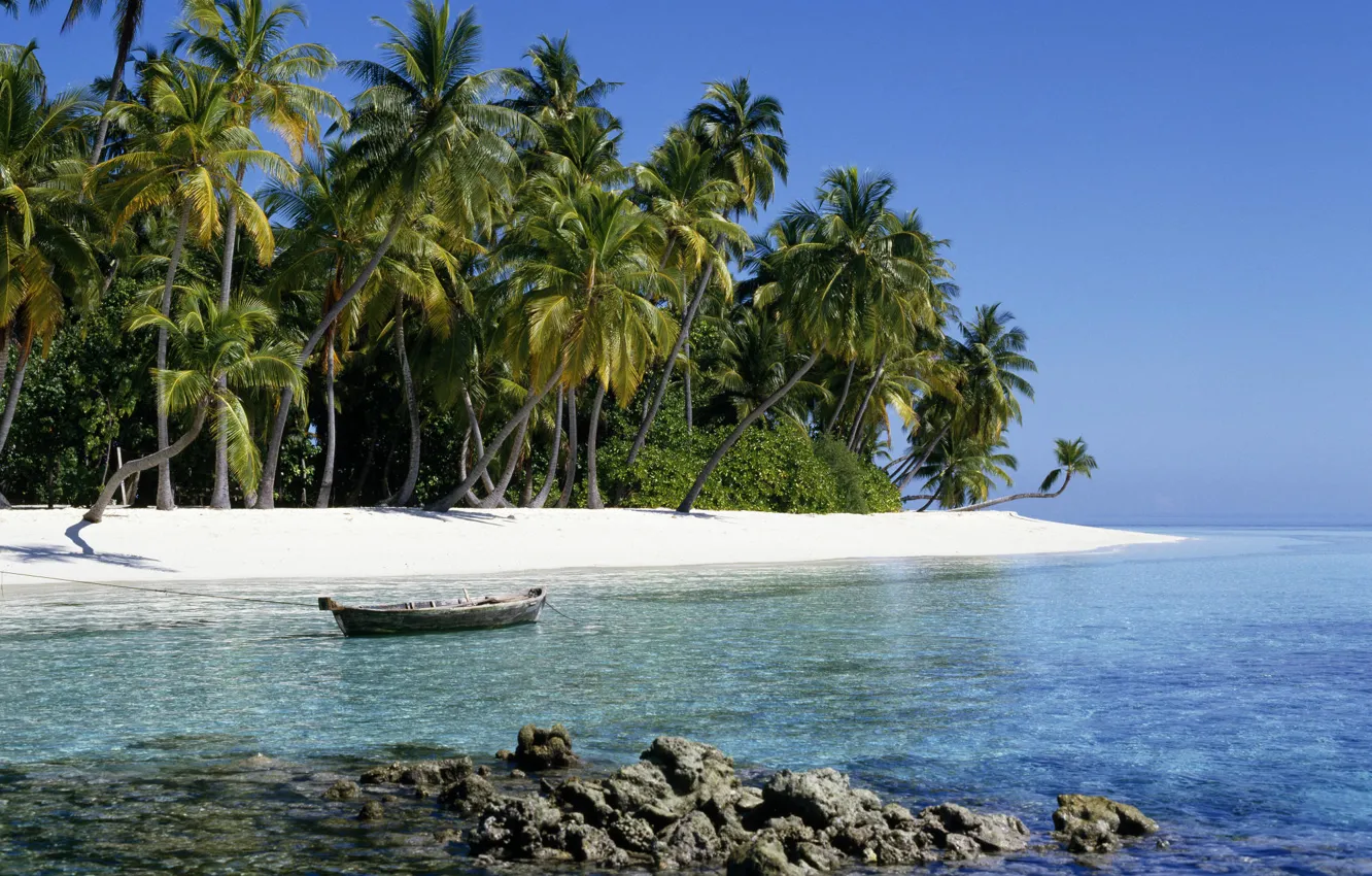 Фото обои песок, пальмы, отдых, relax, экзотика, Индийский океан, Мальдивские острова