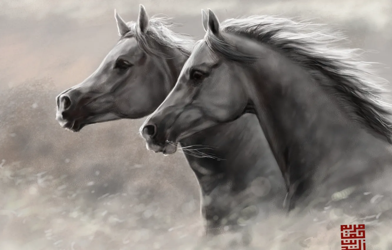 Фото обои кони, лошади, арт, бег, пара, головы