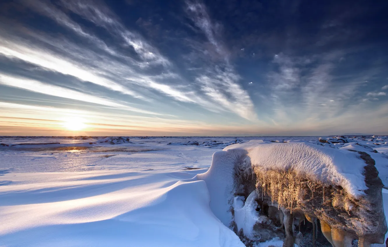 Фото обои зима, поле, пейзаж, закат