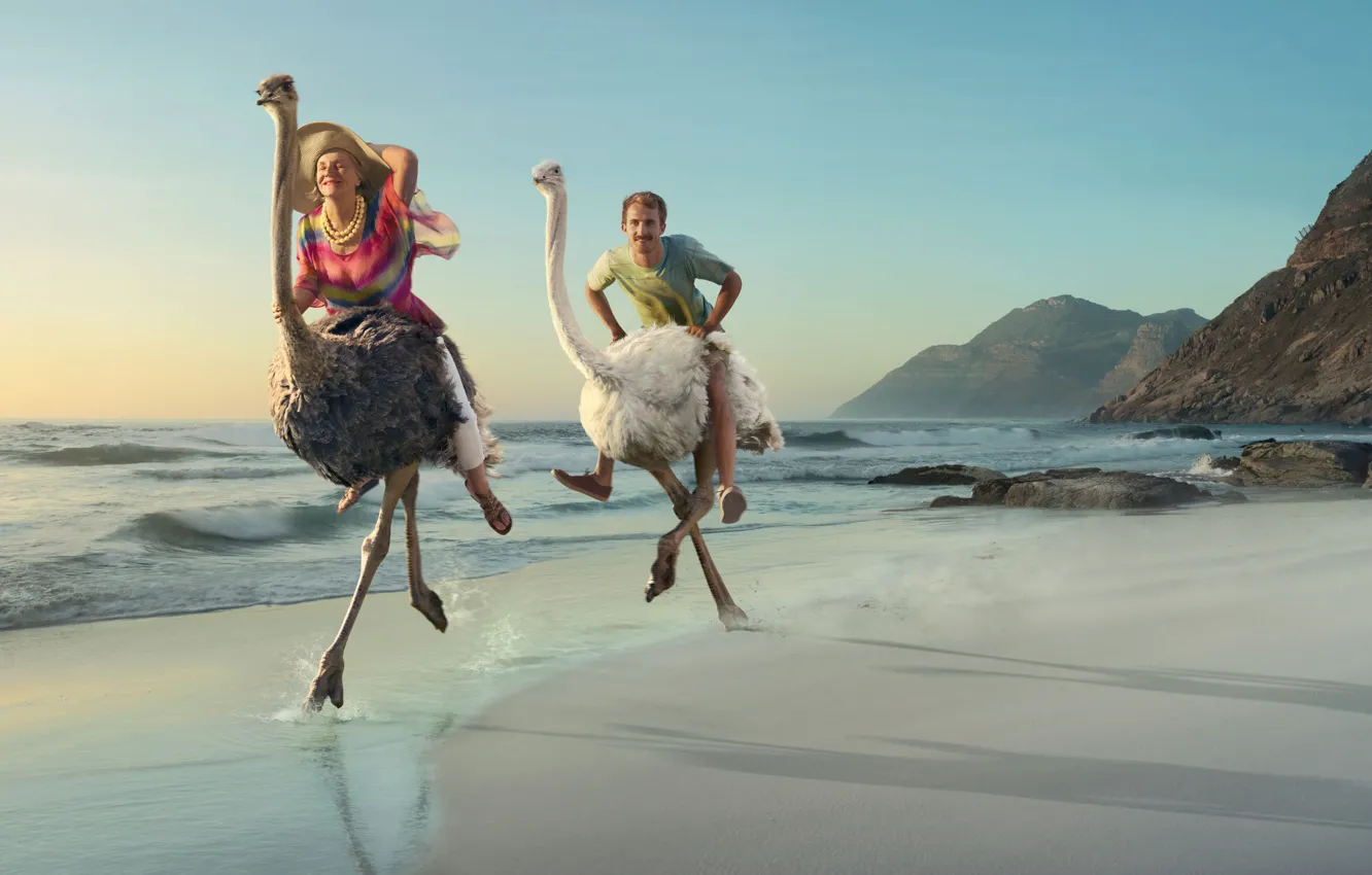 Фото обои море, женщина, игра, Берег, мужчина, двое, страусы