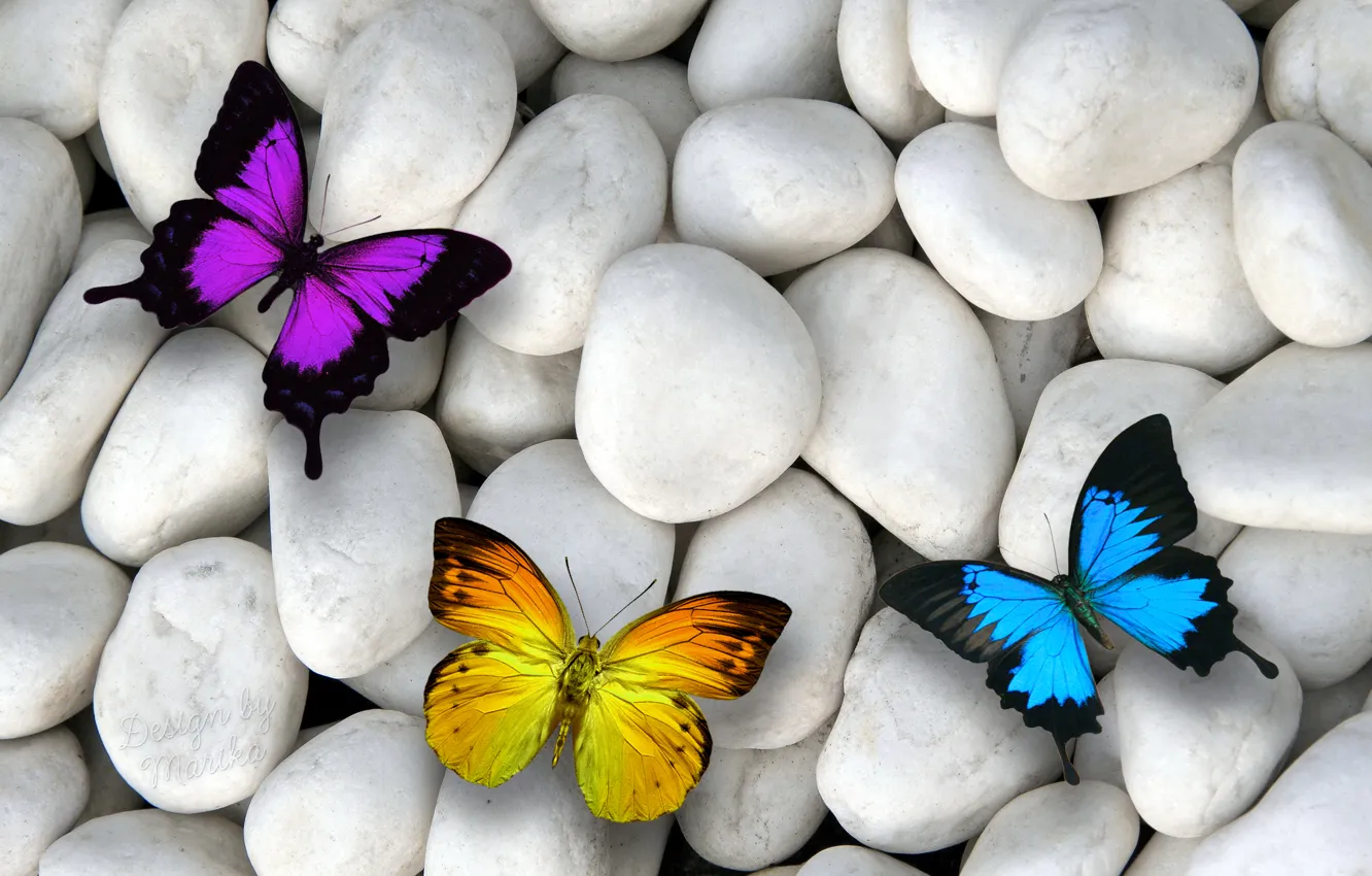 Фото обои бабочки, камни, colorful, butterflies, design by Marika, white stones