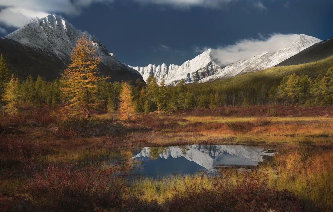 Фото обои осень, лес, трава, облака, снег, горы, озеро, отражение