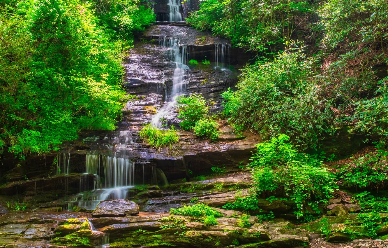 Фото обои зелень, лес, солнце, ручей, камни, водопад, мох, США