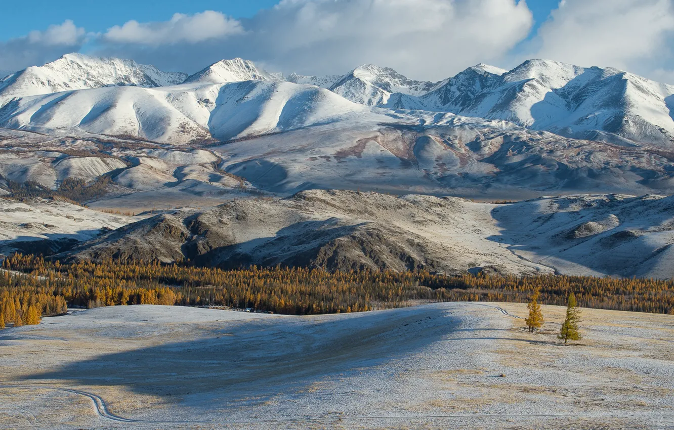 Фото обои горы, Алтай, Курайский хребет