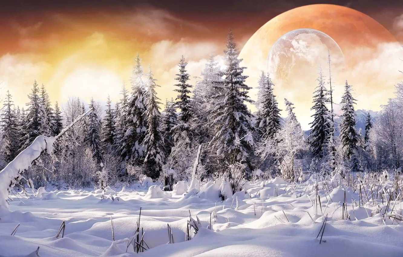 Фото обои зима, лес, снег, коллаж, планеты