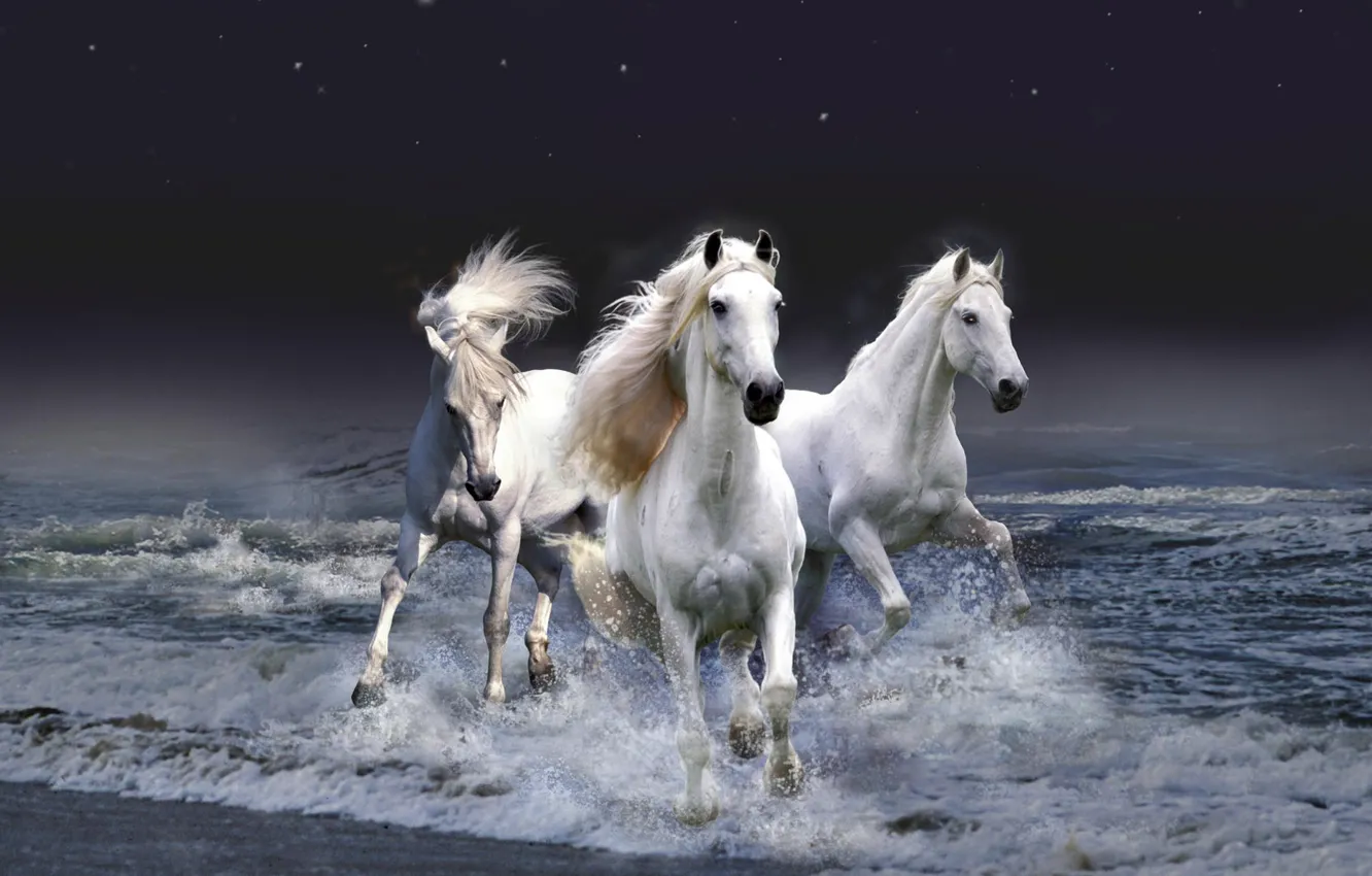 Фото обои волны, вода, Лошадь