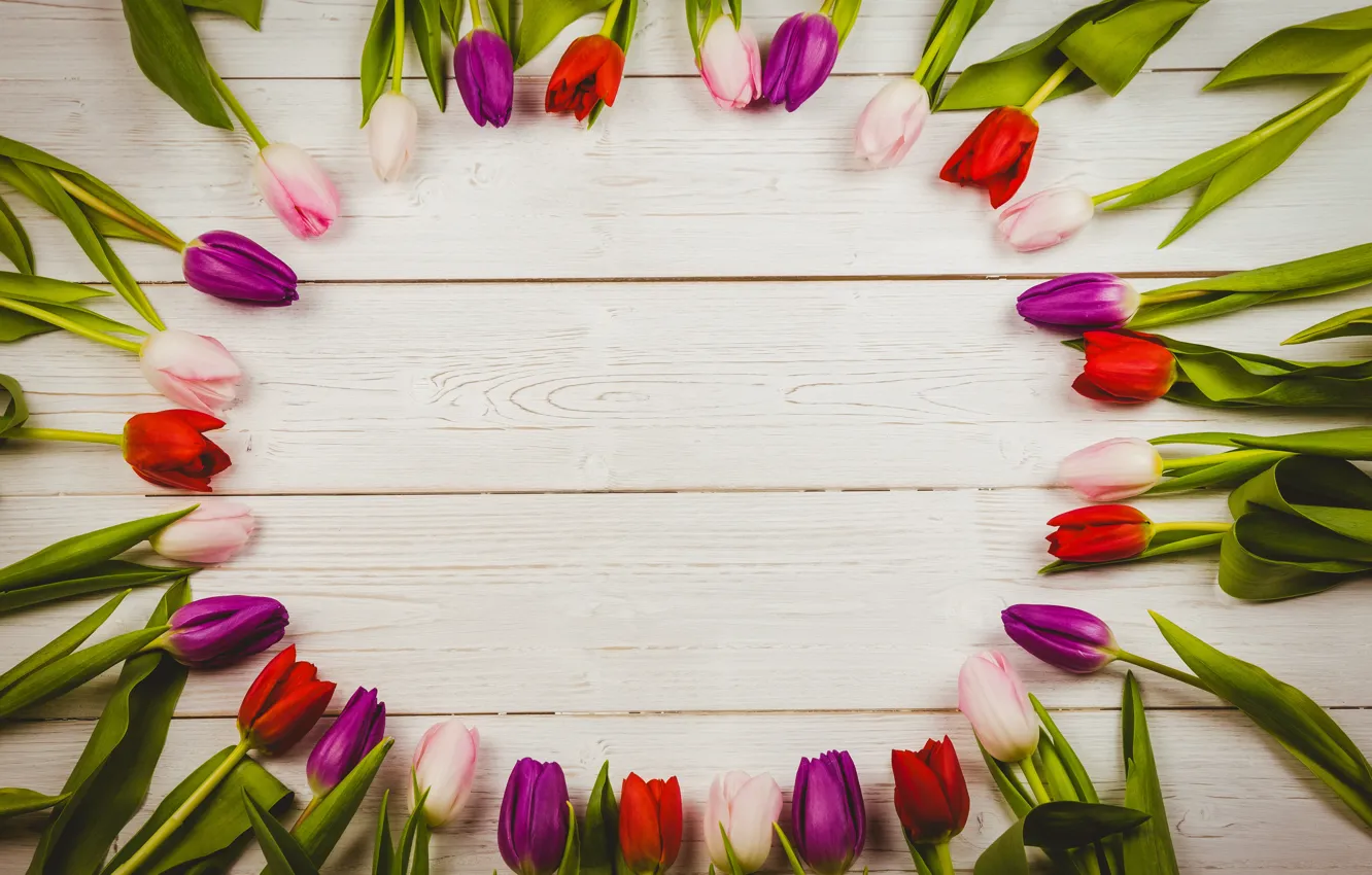 Фото обои цветы, colorful, тюльпаны, red, white, wood, flowers, tulips