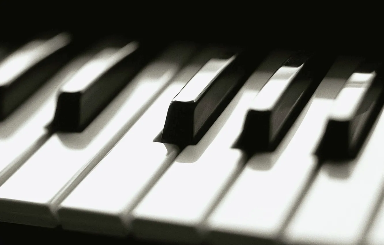 Фото обои клавиши, пианино, чёрно-белый