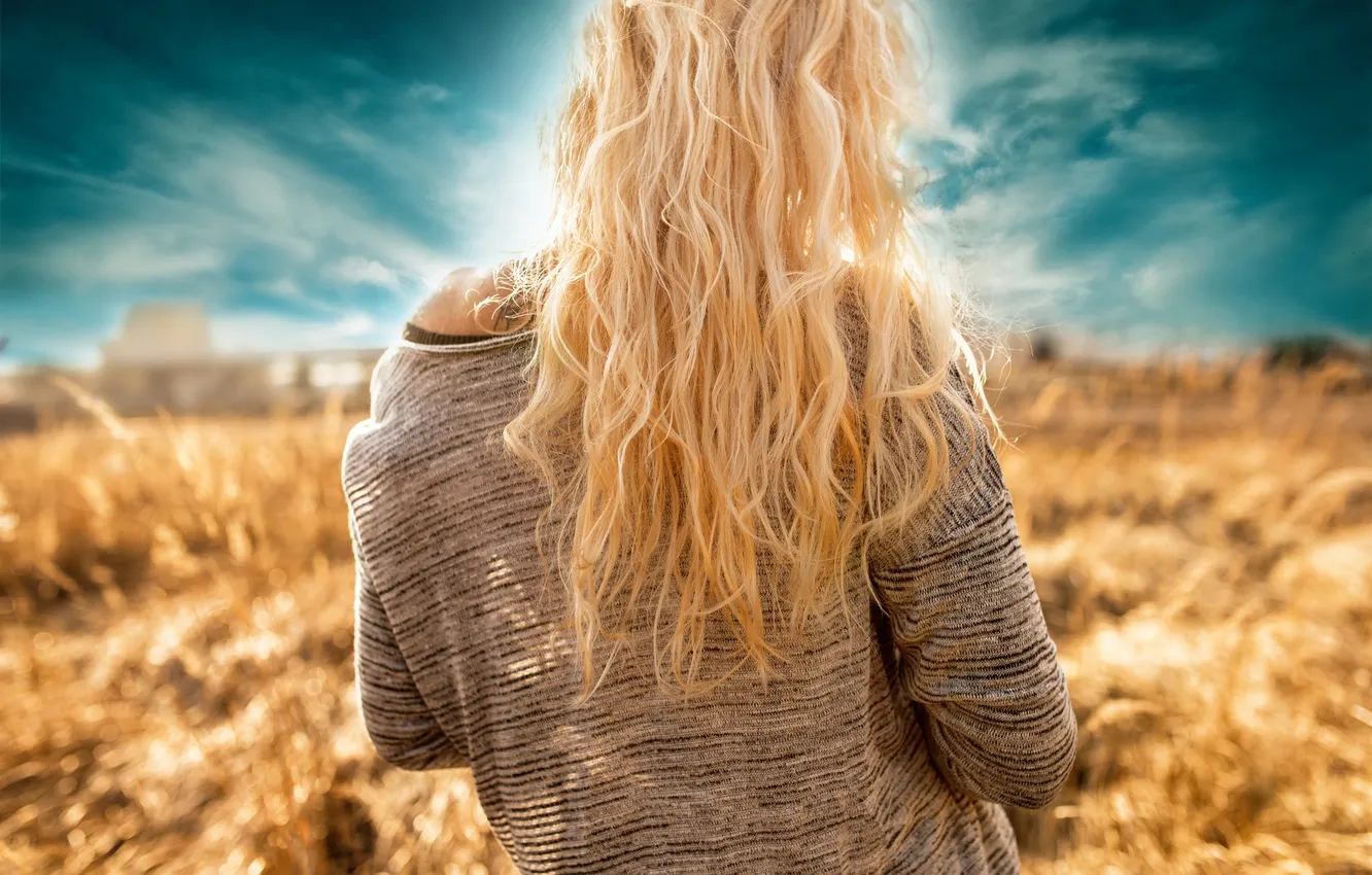 Фото обои поле, небо, девушка, волосы, спина, арт