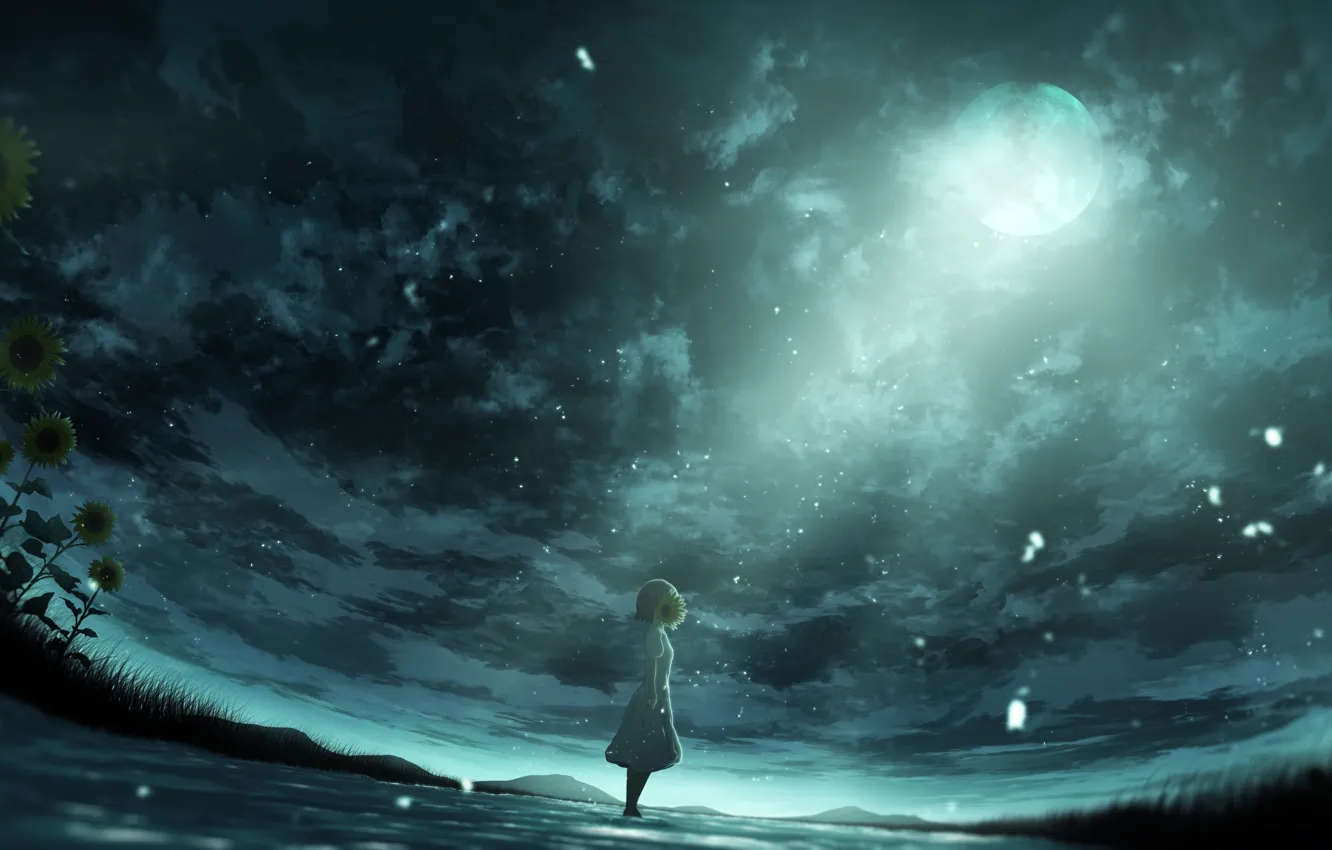 Фото обои небо, вода, подсолнухи, пасмурно, луна, девочка