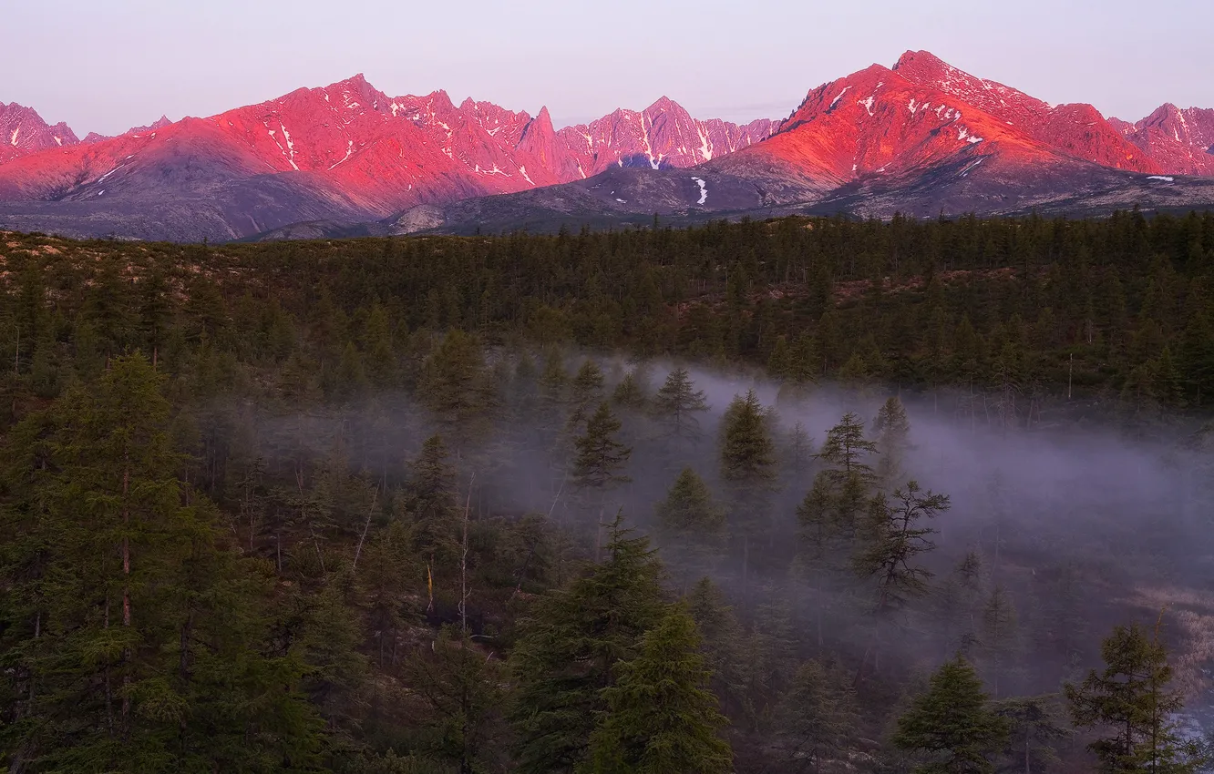 Фото обои лес, свет, закат, горы, туман, вечер, дымка, Магаданская область