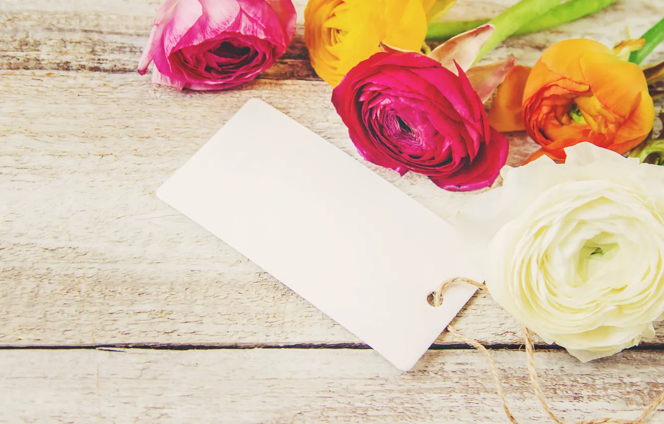 Фото обои цветы, розы, букет, colorful, wood, pink, flowers, roses