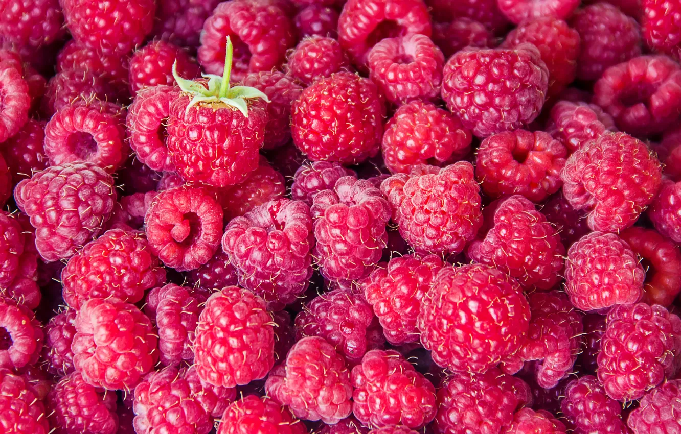 Фото обои малина, фон, ягода, background, berries, raspberry